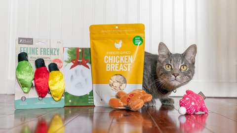 Howliday Gift Guide: Festive Feline