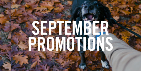 September Promos