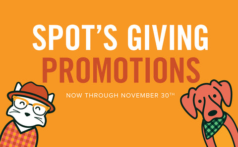 November Promotions