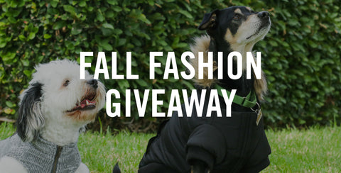 Fall Fashion Giveaway