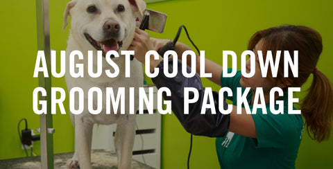 August Cool Down Grooming Package