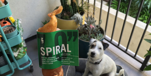 Dog Treats: Healthy Spot Bullysticks (Video)