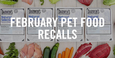 February Pet Food Recalls