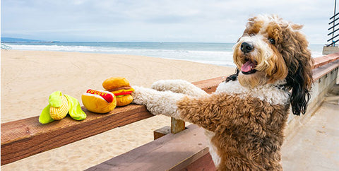 Summer BBQ Tips For Pet Parents