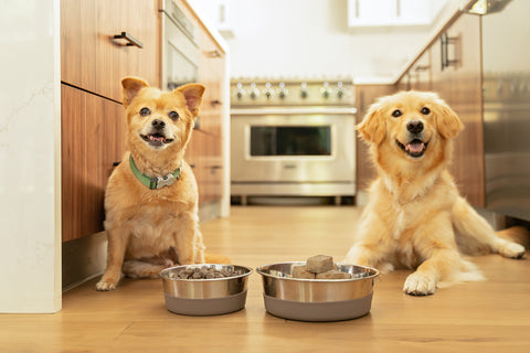 How To Safely Handle Raw Pet Food